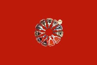 遂昌回收红酒